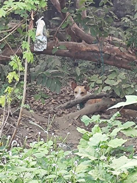 saRap ng chupa ko sa kapitbahay sa bakanteng lote .